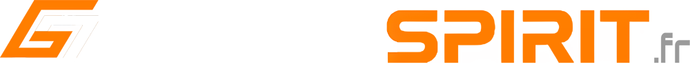 Logo Game Spirit